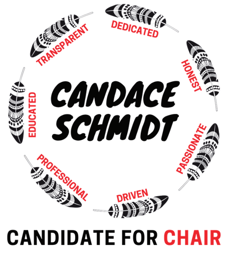 Candace Schmidt — Candidate for Chair